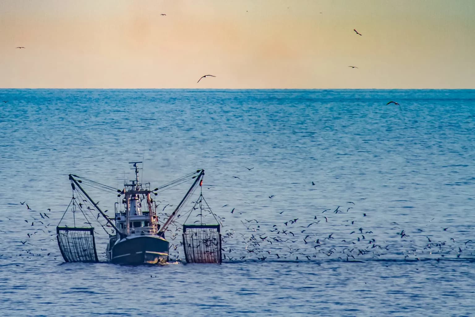 Puerto de pesca en Mauritania