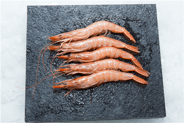 Gamba de altura